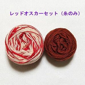 ☆オパール毛糸 ミニ☆KFSカラー レッドオスカーセット（糸のみ）