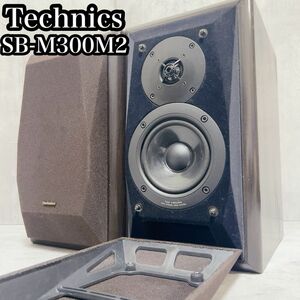 Technics Technics SB-M300M2 динамик пара 