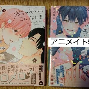 不機嫌イトコがかわい過ぎて仕方ない　side直樹　3巻　高比良りと　アニメイト　リーフレット　特典　文川じみ　君ってやつはこんなに