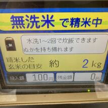 無洗米 12合(3合×4袋) 1.8Kg 京都丹波産きぬひかり 令和5年産 農家直送_画像10