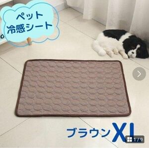ペット 犬 猫 冷感シート ひんやりシート クール 接触冷感 洗える 茶色 ブラウン 大きめ 100×70 XL 暑さ対策 熱中症