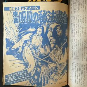 N816 週刊アサヒ芸能1977(昭和52)年7月28日号 ギャル OL/水着 トルコ風呂 競馬 怪奇 オカルト ディスコ 風俗レポ トルコ嬢の画像9