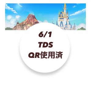 東京ディズニーシー　6／1 入園済みチケット