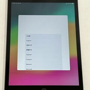 超美品　電池100%Apple iPad 第8世代 32GB Wi-Fi +Cellular モデル KDDIau 10.2インチ