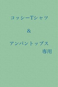 専用　コッシー半袖90 アンパンマントップス