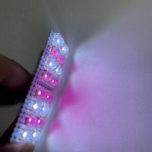 爆光 LED ファイブスター ギガ ドア カーテシランプ 白 青 赤 緑 ピンク1の画像9