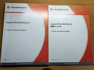 【クーポンで1100円】トレノケート　javaシステムプログラミング　参考書