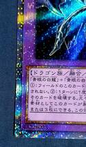 遊戯王OCG 青眼の究極亜竜 20thシークレット 20TH-JPC00 高橋先生書き下ろしカード 極美品_画像5