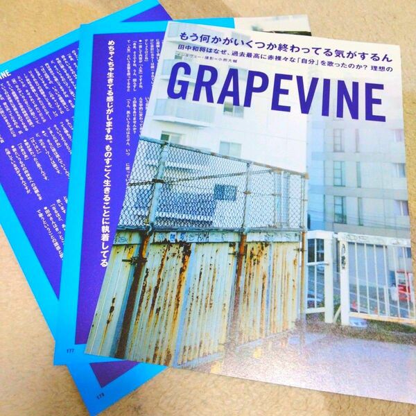 GRAPEVINE『ROCKIN' ON JAPAN』切り抜き