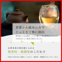 ★500ml_通常★ () 烏龍茶 ウーロン茶 お茶 ペットボトル 500ml ×24本_画像10