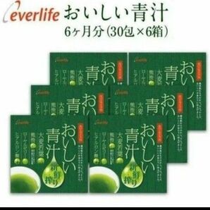 Everlife おいしい青汁　1箱30包　6箱セット　エバーライフ