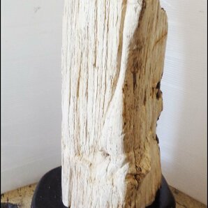 Bana8◆珪化木 化石木 木化石 化石 コレクション インテリアの画像4