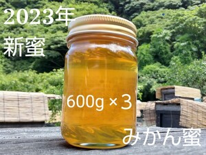 【非加熱、純粋はちみつ】スッキリとした甘さとほのかな酸味が人気な希少蜂蜜「みかん蜜」600g×3本 1800g 国産蜂蜜 完熟 天然