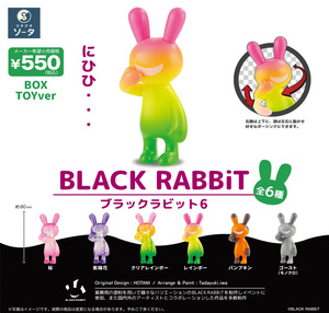 BLACK RABBiT6 6個入りBOX [SO-TA]