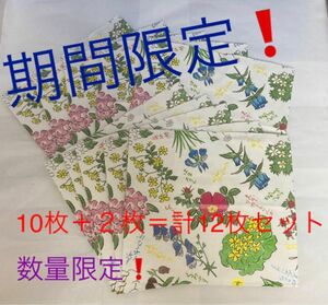 ☆数量限定☆六花亭 ショップ袋 小サイズ 10枚＋2枚セット