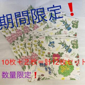 ☆数量限定☆六花亭 ショップ袋 小サイズ 10枚＋2枚セット