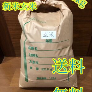 令和5年度産 新米 玄米ヒノヒカリ20kg 