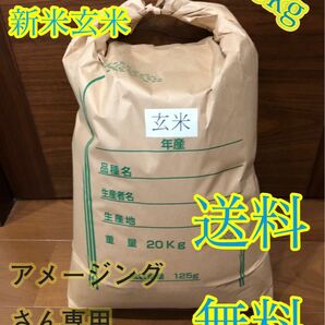 令和5年度産 新米 玄米ヒノヒカリ20kg 