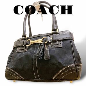 COACH コーチ ハンドバッグ トートバッグ シグネチャー　キャンバス レザー ブラック 総柄　肩掛け　レディース　メンズ