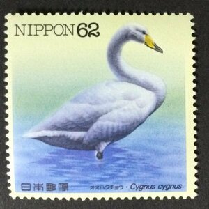 ■■コレクション出品■■【水辺の鳥シリーズ】第４集　オオハクチョウ