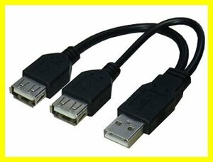 新品 分岐 USBケーブル データ用/電源用 USBA/2