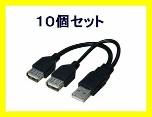 新品 分岐 USBケーブル データ用/電源用 USBA/2×10個