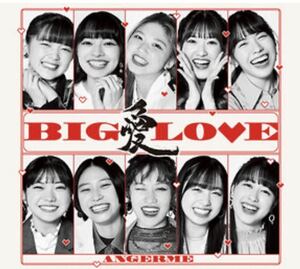 【新品未開封】アンジュルム アルバム CD 『BIG LOVE』 初回限定盤B