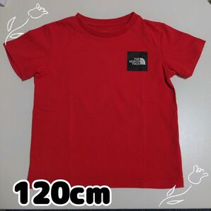 子供服　キッズ服　Ｔシャツ　半袖　THE NORTH FACE