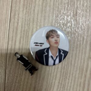 THE FELLOWSHIP:BREAK THE WALL in JAPAN 2022 イラストピンバッチ ミンギ 缶バッジ