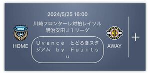 明治安田生命J1リーグ 5/25 川崎フロンターレ対柏レイソル チケットとどろきスタジアム ホームA自由 1枚