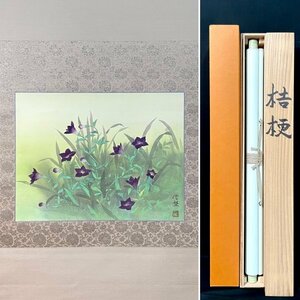 Art hand Auction [Genuine] Balloon Flower by Yukino Sakamoto, silk painting, Japanese painting, Japanese art, teacher: Seihei Tanaka, a friend of the Japan Art Academy, hanging scroll, box, tatami, T052422, Painting, Japanese painting, Flowers and Birds, Wildlife