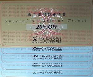 ★ゼビオ 株主優待券 20％OFF券1枚+10％OFF券4枚 ～2024/6/30