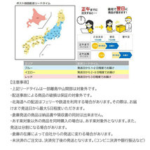 釣り用 水温計 サーモメーター 淡水 海水 温度計 フライフィッシング ルアーフィッシング ルアー_画像8