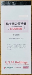 USMH 株主優待券 5000円分 1冊 普通郵便送料無料　