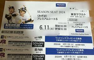 6月11日福岡ソフトバンクホークスvs東京ヤクルトみずほプレミアムシートS 2枚