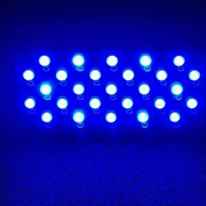 LEDライト水槽照明 PSE技術基準適合 プリズムレンズ サンゴ 海水 調光機能付き 165W ブラックボックス レッドの画像3