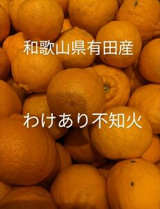 和歌山県有田産　わけあり不知火5kg