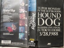 ★★VHS ハウンドドッグ スーパーマンデー 1988 3.28 ライブ収録★レンタル版ビデオ★10737CDN_画像4