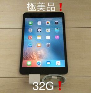 【極美品】新品充電器付き Apple iPad mini 32G Cellular