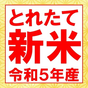 送料無料 令和5年産 新潟県産コシヒカリ 白米 ５ｋｇの画像9
