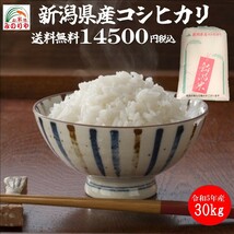 令和5年産 新潟県産 コシヒカリ 玄米30kg うまい米 米専門 みのりや ポイント消化 送料無料_画像1