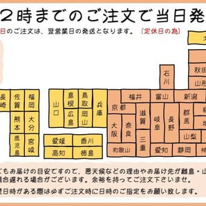 令和5年産 新潟魚沼産 コシヒカリ 30kg うまい米 米専門 みのりや  ポイント消化 送料無料の画像9