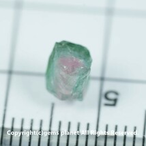 1.31ct ウォーターメロントルマリン結晶 ナイジェリア産 95_画像9