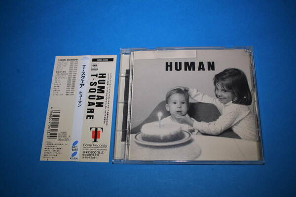 ■送料込■HUMAN ヒューマン■T-SQUARE T-スクェア■