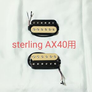 sterling AX40用 ハムバッカー セット ゼブラ ピックアップ musicman axis