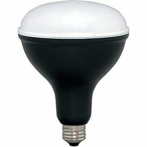 アイリスオーヤマ LED 作業灯 投光器 投光器用交換電球 LED電球 ワークライト 1800l