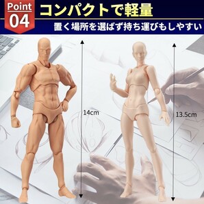 デッサンドール 男女セット モデル 人形人体 模型 フィギュア 関節 スケッチ 描写 フィギア デザイン 人物 ポーズ 素体 ポージングの画像5