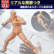 デッサンドール 男女セット モデル 人形人体 模型 フィギュア 関節 スケッチ 描写 フィギア デザイン 人物 ポーズ 素体 ポージング_画像2