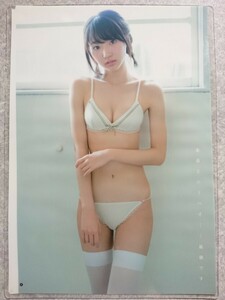 ラミネート加工『厚手』武田玲奈 水着 グラビア 女優 芸能人 雑誌 切り抜き 8ページ(4枚組) B5フィルム 