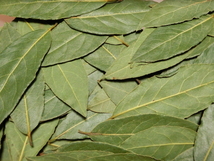 無農薬・無化学肥料のローレル　月桂樹の葉　約２０ｇ　カレーリーフ少々のオマケ付き　②_画像2